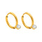 18K gold plated Stainless steel earrings CZ stationary hoop